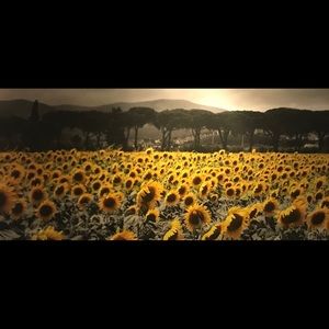 Meet your Posher, Amaretta